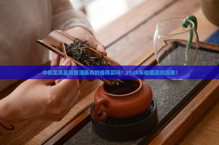 中茶龙凤呈祥普洱茶