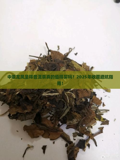 中茶龙凤呈祥普洱茶