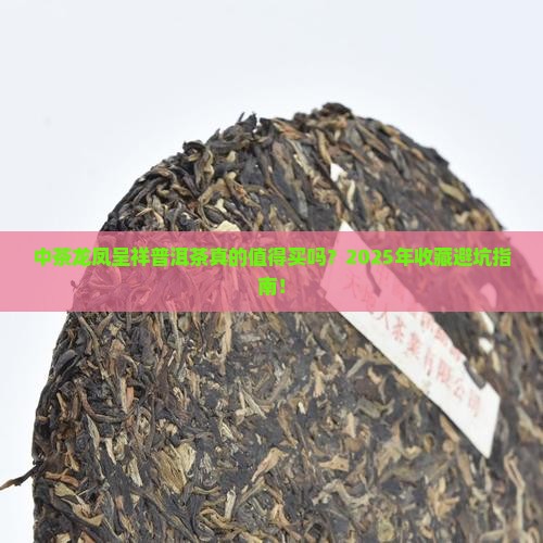 中茶龙凤呈祥普洱茶
