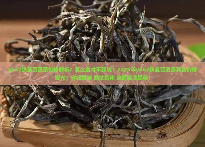 y562铁盒普洱茶价格