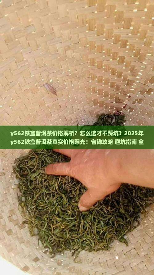 y562铁盒普洱茶价格