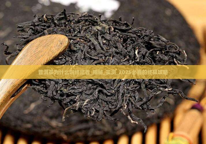 普洱茶为什么叫终结者