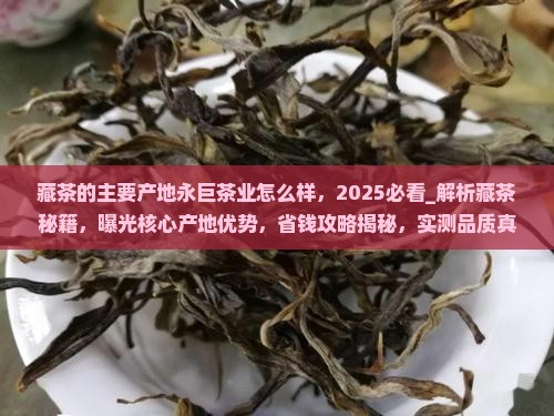 藏茶的主要产地永巨茶业怎么样