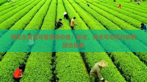易武永茂昌号普洱茶价格