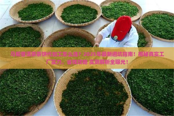 马帮普洱茶茶饼代加工厂