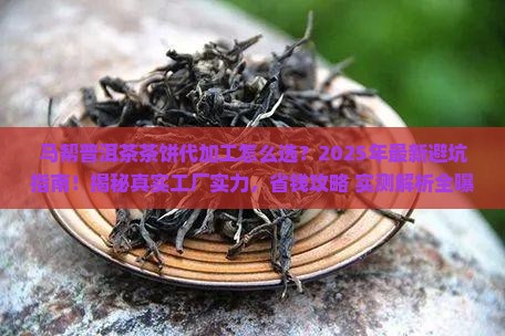 马帮普洱茶茶饼代加工厂