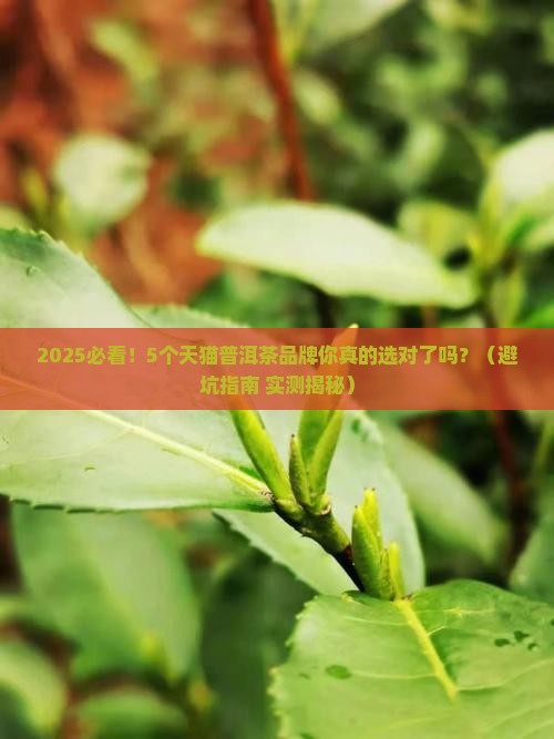 天猫的普洱茶品牌排行榜