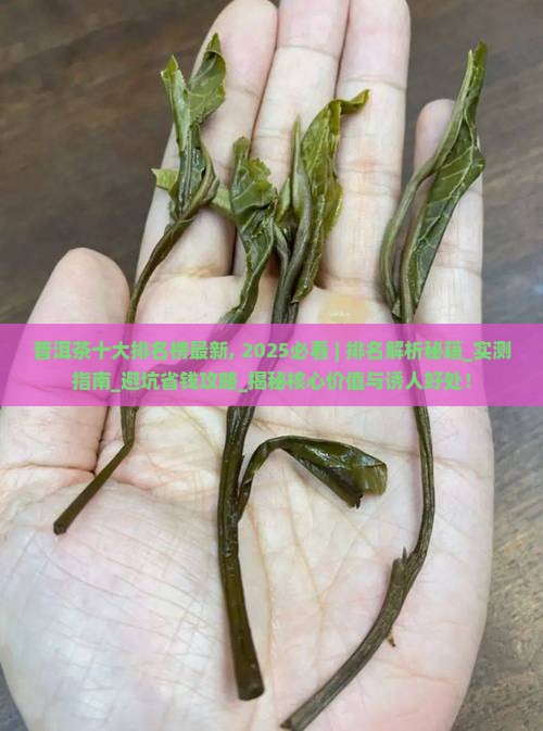 普洱茶十大排名榜最新