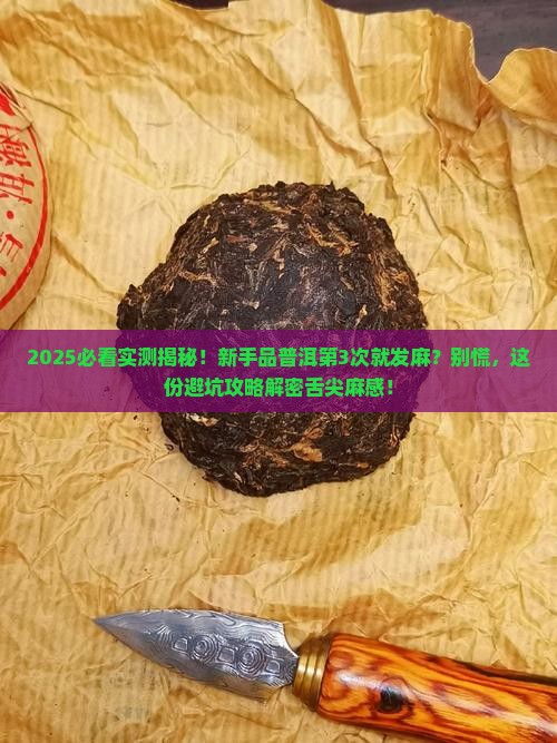 品饮普洱茶舌尖发麻为何