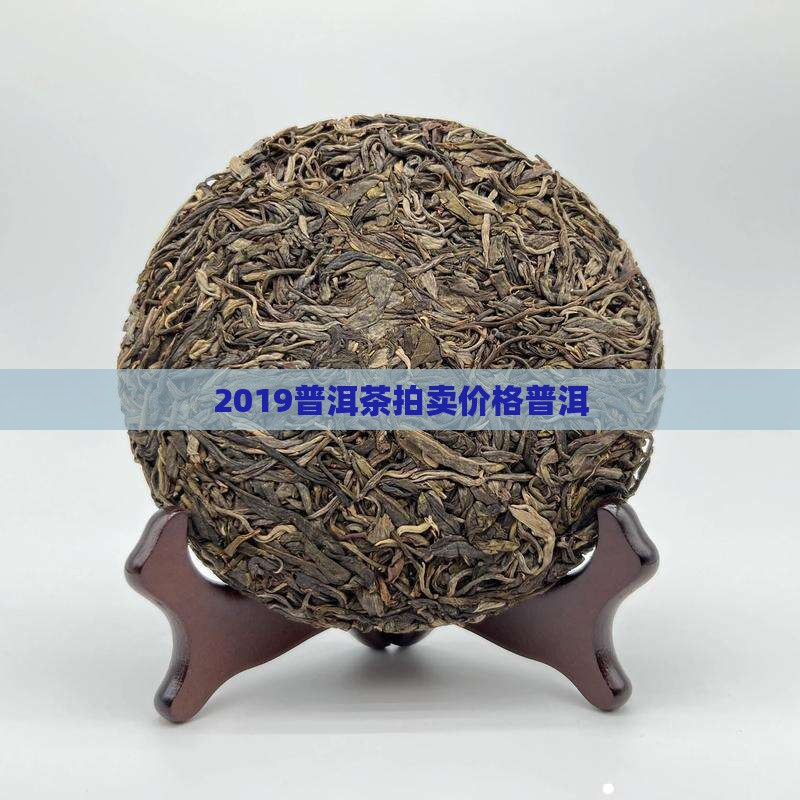 2019普洱拍卖