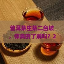 普洱茶生茶二台坡