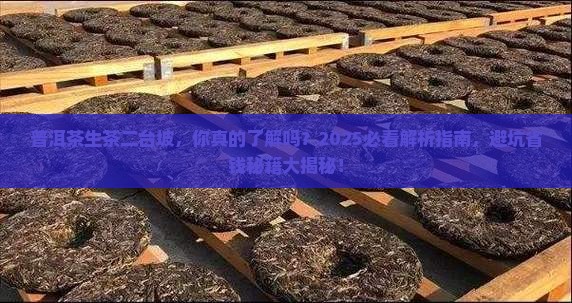 普洱茶生茶二台坡