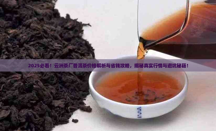 云洲茶厂普洱茶价格查询