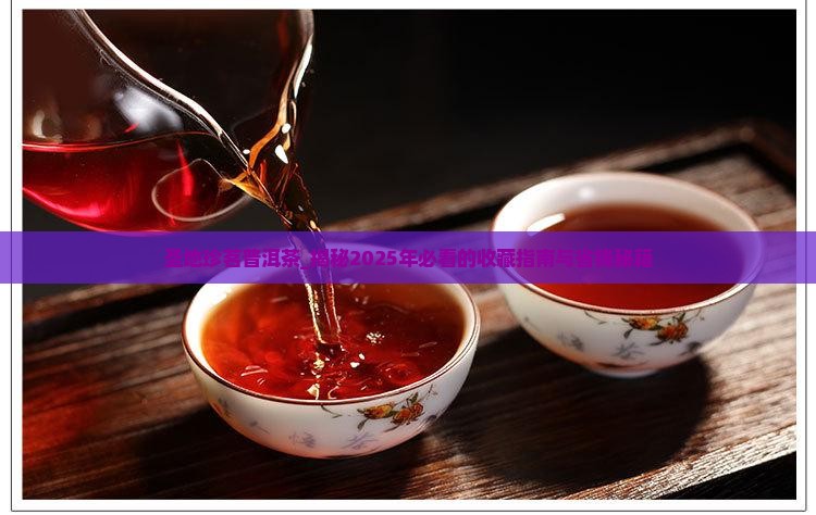 圣地珍茗普洱茶