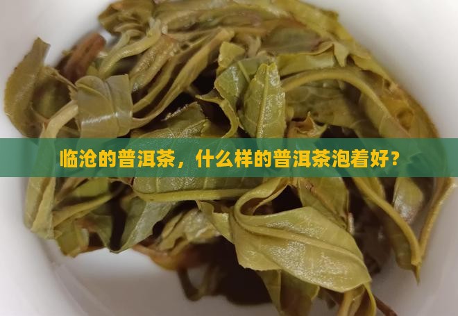 临沧什么普洱茶好泡着