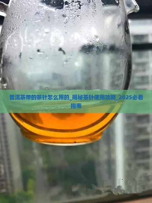 普洱茶带的茶针怎么用的