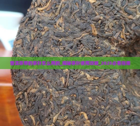 普洱茶带的茶针怎么用的