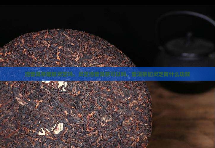 泡普洱茶能放灵芝吗