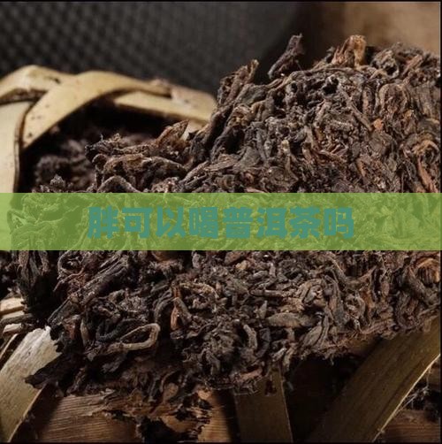 胖可以喝普洱茶吗
