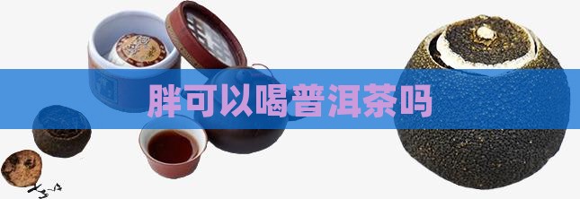 胖可以喝普洱茶吗