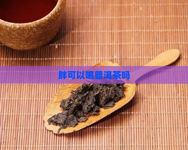 胖可以喝普洱茶吗