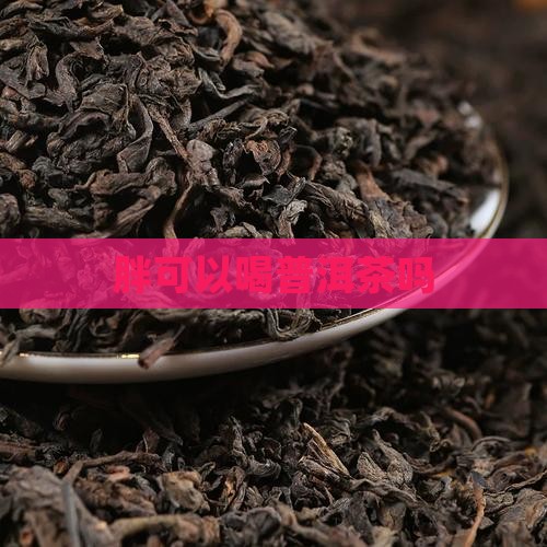 胖可以喝普洱茶吗