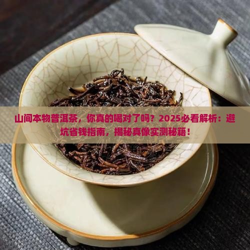 山间本物普洱茶
