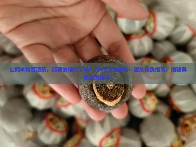 山间本物普洱茶