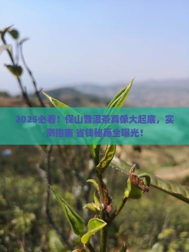 保山市的普洱茶怎么样啊