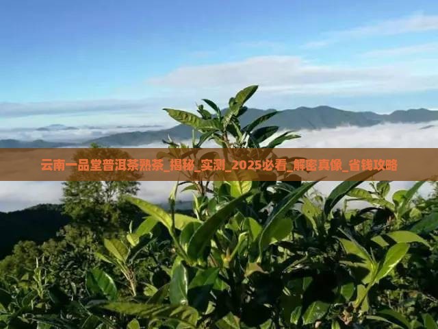 云南一品堂普洱茶熟茶怎么样