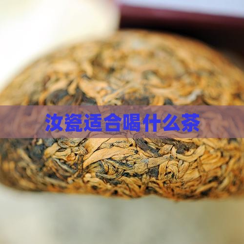 汝瓷适合喝什么茶