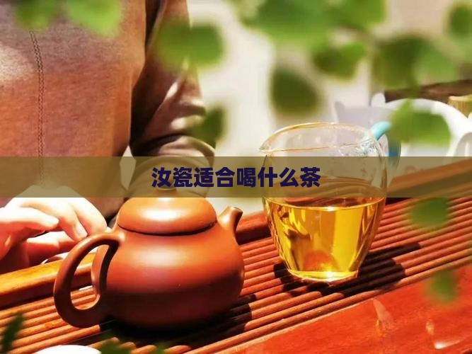 汝瓷适合喝什么茶