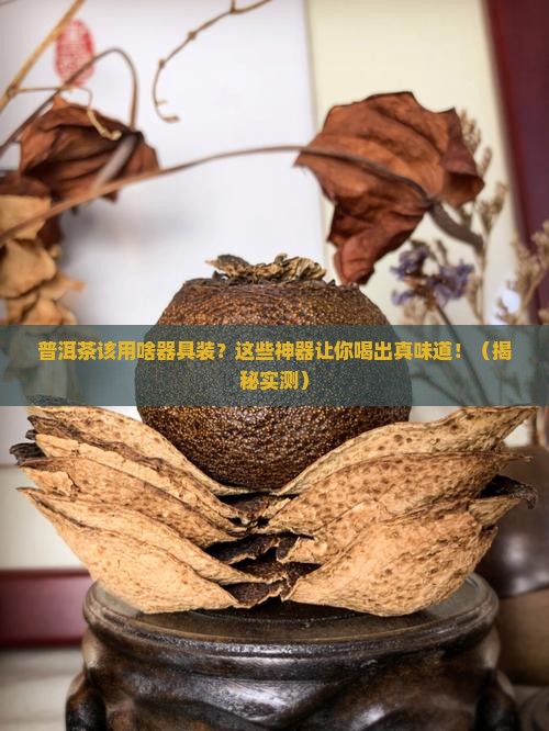 普洱茶用什么器具装好