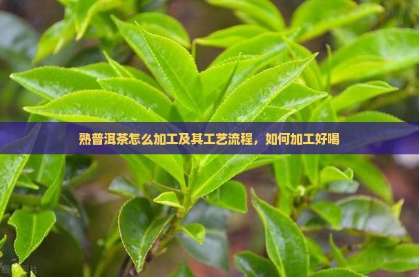 熟普洱茶怎么加工