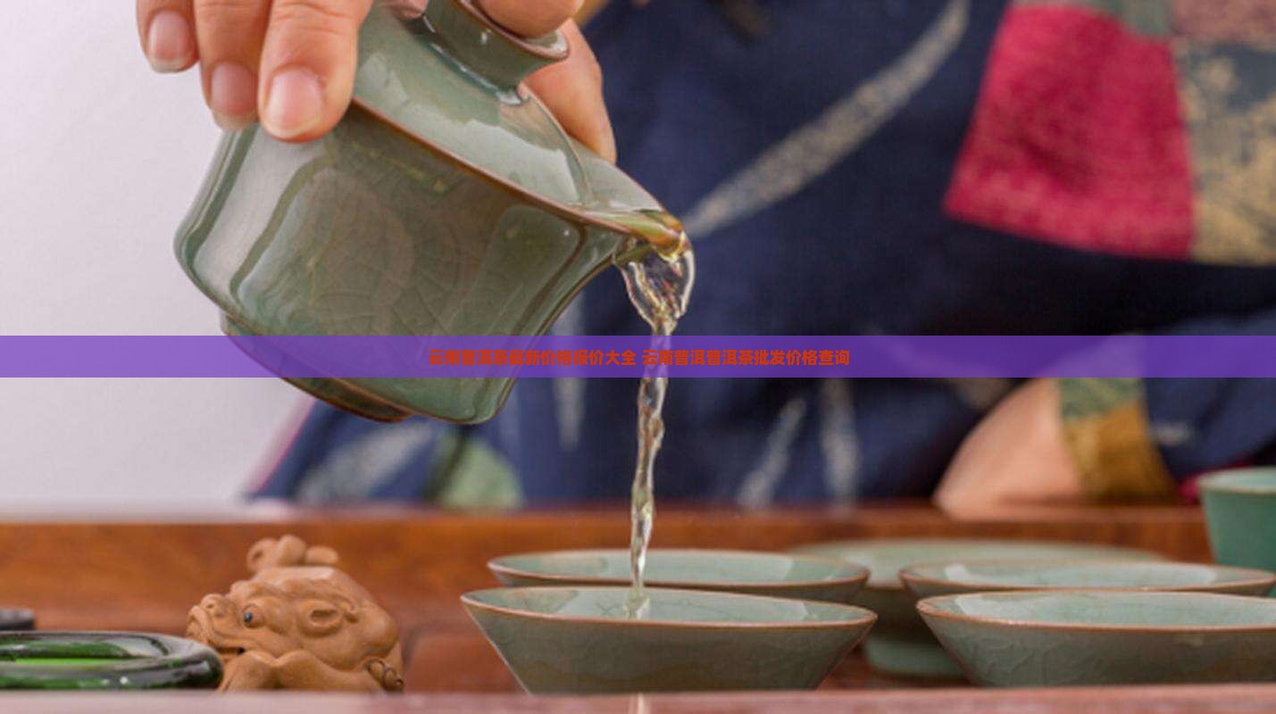 云南普洱茶价钱多少钱一斤