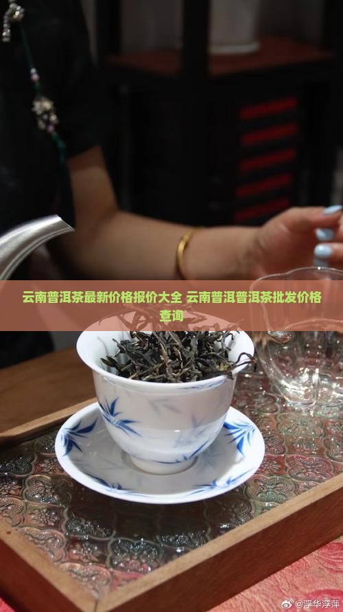 云南普洱茶价钱多少钱一斤