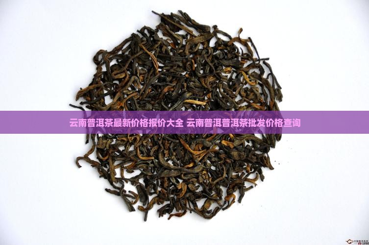 云南普洱茶价钱多少钱一斤