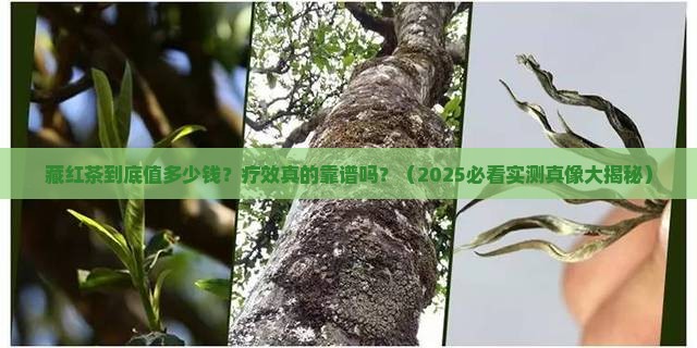 藏红茶的价格和疗效