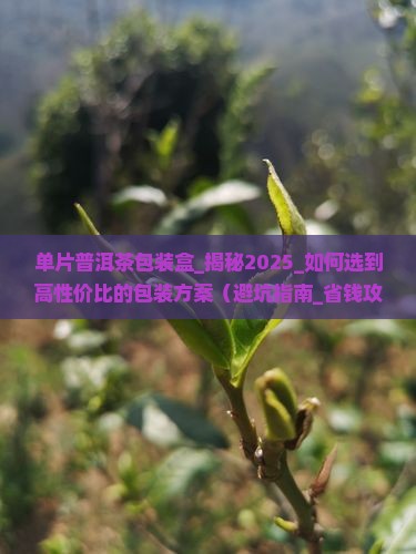 单片普洱茶包装盒