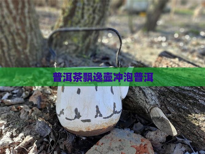 普洱茶飘逸壶冲泡