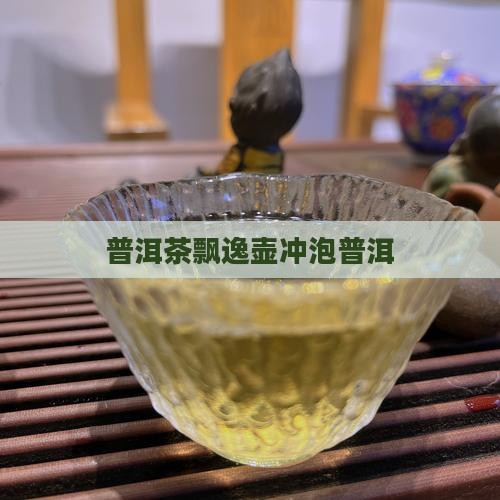 普洱茶飘逸壶冲泡