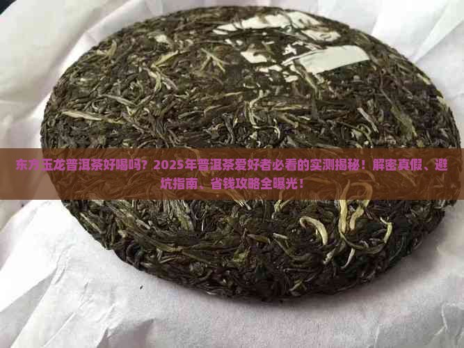 东方玉龙普洱茶好喝吗怎么样