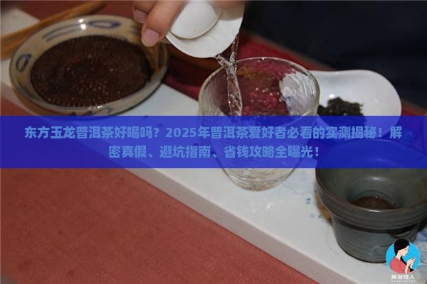 东方玉龙普洱茶好喝吗怎么样