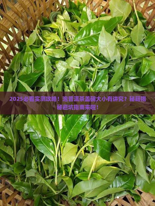 普洱茶用多大的盖碗泡