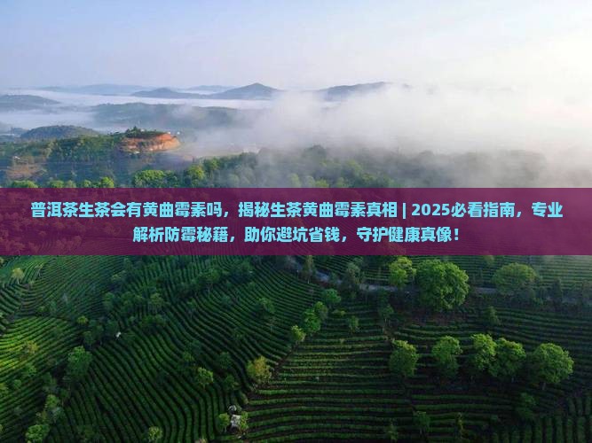 普洱茶生茶会有黄曲霉素吗