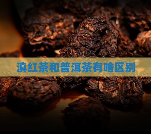 滇红茶和普洱茶有啥区别