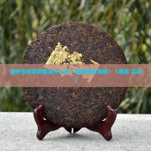 贵州虫屎茶是什么茶