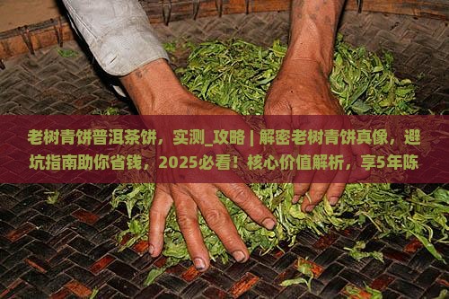 老树青饼普洱茶饼