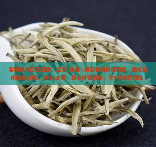老树青饼普洱茶饼