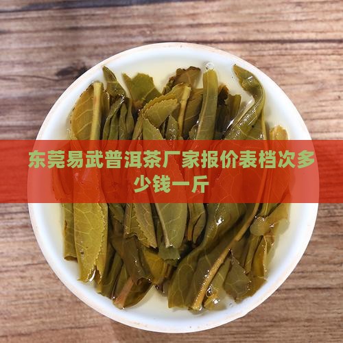 东莞易武普洱茶